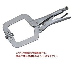 y|Cg5{zyiz X[p[c[ ObvvC Ch}EX^Cv SGP100C