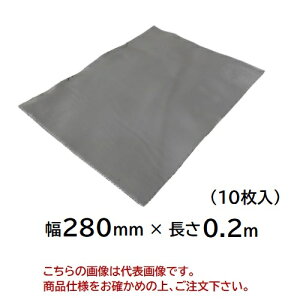 yiz ^CZC \hLkV[g t@XgtbV 280mmX0.2m O[ (10)