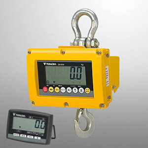 y|Cg5{zyiz H (TERAOKA) h^N[XP[ DS-209_1T (22922)