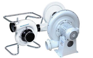 �y�|�C���g10�{�z�y�����i�z ���}�_ (YAMADA) �r�C�t�@�� N16F-2005 (H511521F)