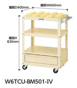 yiz RH c[OS W6TCU-BM501-IV y^z