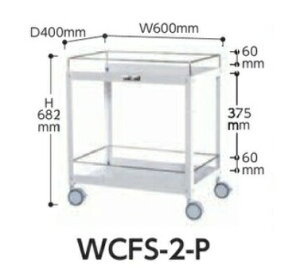 y|Cg10{zyiz RH RrjS (oփLX^[) WCFS-2-P y^z