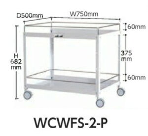 yiz RH RrjS (oփLX^[) WCWFS-2-P y^z