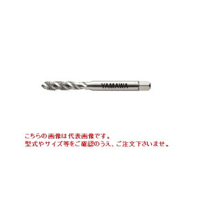 ���}�� �v���X�V���[�Y �X�p�C�����^�b�v +SP M6X1 P2 (SNPQ6.0M) �s+SP�^�b�v�t
