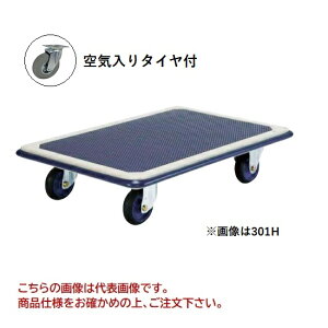 y|Cg5{zyiz hm tbVJ[ C^Ct  301H-AR yEʁz