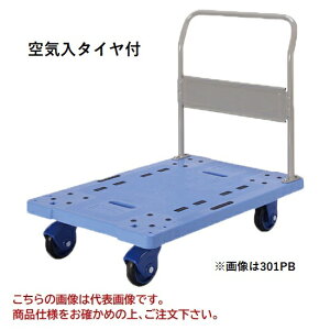 yiz hm tbVJ[ C^Ct Œ莮 301PB-AR yEʁz