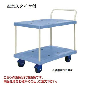 yiz hm tbVJ[ C^Ct 2i 301PC-AR yEʁz