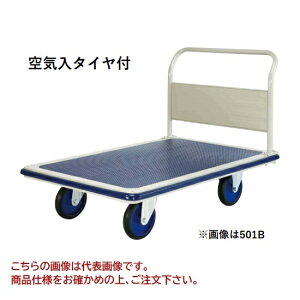 y|Cg5{zyiz hm pbgJ[ C^Ct Œ莮 501B-AR yEʁz