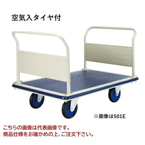 yiz hm pbgJ[ C^Ct  501E-AR yEʁz