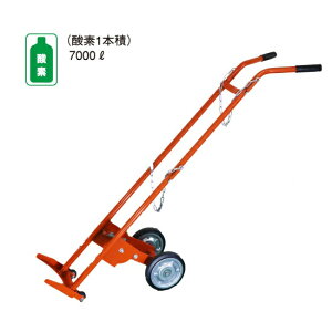 y|Cg10{zyiz hm ԗֈړ_f1{ No.201 yEʁz