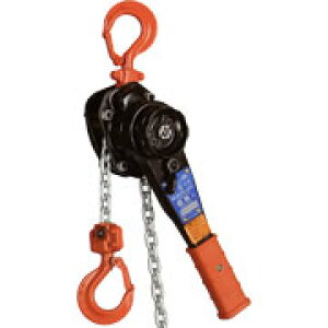 �y�����i�z �ۈ� ���̓��o�[YA�^ YA-160 (YA-01615) (1.6t �g��1.5m) �`�F�[�����o�[�z�C�X�g