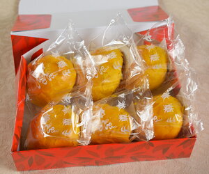 ʎqJX^[hpC6Plyl؊XE؍؊ ᢁz