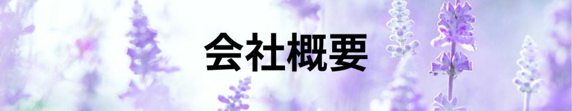 会社概要