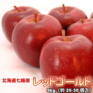  kCY  bhS[h S 5kgi20-30j ͑ʓrZ 䒆 Lv čՂ