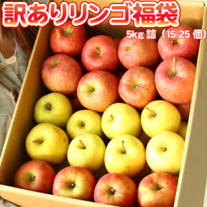 X 5kg 󂠂   kCY XY S ͑ʓrZ 䒆 Lv čՂ