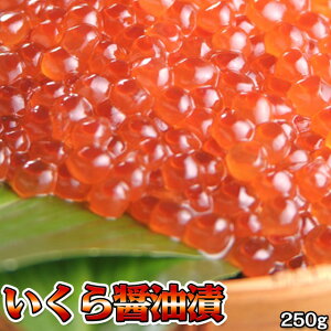  ݖЂ CN 250g  ʓrZ Ε NX}X 