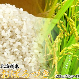 北海道産 おぼろづき20kg(5kg×4) 北海道米 おぼろづき おためし 送料無料※沖縄は送料別途加算 ひな祭り 新生活 ホワイトデー