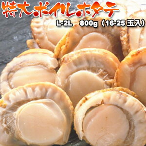 {Cz^e z^e ق L-2L 800g kC  ͑ʓrZ Ɩp  䒆 Lv čՂ