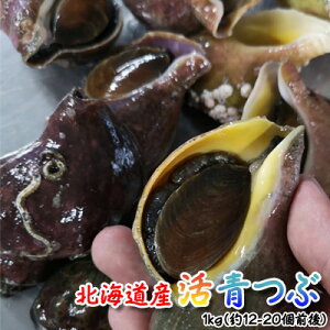 活 つぶ貝の人気商品 通販 価格比較 価格 Com 活 つぶ貝の人気商品 通販 価格比較 価格 Com