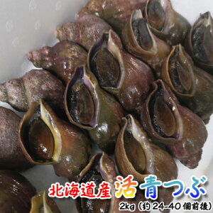 活 つぶ貝の人気商品 通販 価格比較 価格 Com