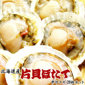 z^eƂΖkCIЊLz^eiTCYj20Zbguv͑ʓrZ Ε NX}X 