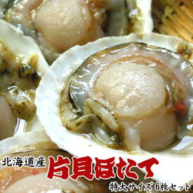 ホタテといえば北海道！片貝ホタテ（特大サイズ）6枚セット「送料無料」※沖縄は送料別途加算 歳暮 クリスマス 正月