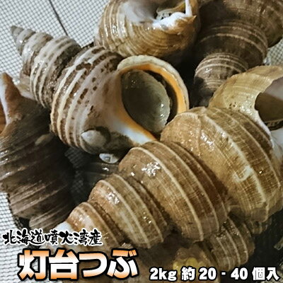 楽天市場 つぶ貝 灯台つぶ 北海道産 2kg 約 40個入 送料無料 沖縄は送料別途加算 ミツハシグルメ北海道