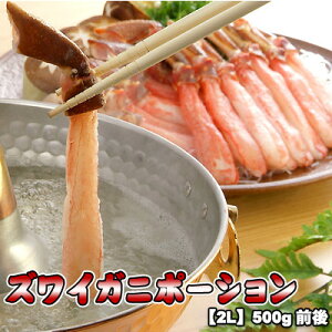 ɂ YCKj |[V 2L 500gO  ͑ʓrZ 䒆 Lv čՂ