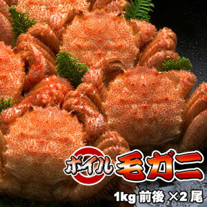 {CуKjyz1kgO×2  ͑ʓrZ Ε NX}X 