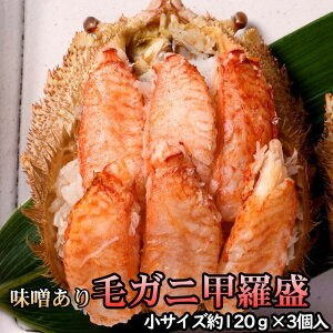 уKjbyTCYzi120gj×3 ɂ݂  ꑗʓrZ 䒆 Lv čՂ