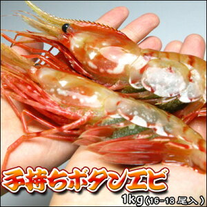 ぼたんえび 子持 ボタンエビ 1kg 送料無料 ※沖縄は送料別途加算 御中元 キャンプ 夏祭り
