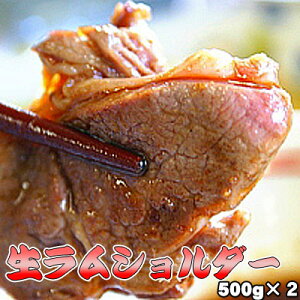 ������ �V�����_�[ 500g×2 �W���M�X�J�� �������� ������͑����ʓr���Z ���̓� ������ �L�����v