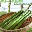 アスパラガス グリーンアスパラ 送料無料 北海道 2L-3L 500g アスパラ ※沖縄は送料別途加算 父の日 お中元 キャンプ