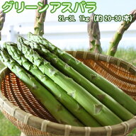 アスパラ 北海道 グリーンアスパラ 2L-3L 1kg 送料無料 ※沖縄は送料別途加算 花見 GW 新生活