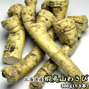 R킳 kCY ڈΎR킳 m킳 300g ͑ʓrZ z[XfBbV z[ 䒆 Lv čՂ
