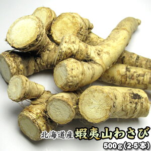 R킳 kCY ڈΎR킳 m킳 500g ͑ʓrZ z[XfBbV z[ 䒆 Lv čՂ