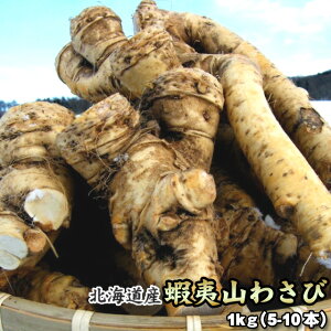 R킳 kCY ڈΎR킳 m킳 1kg ͑ʓrZ z[XfBbV z[ 䒆 Lv čՂ