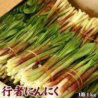 行者にんにく 行者ニンニク キトビロ 北海道産 1kg 送料無料 沖縄送料別途加算 花見 GW 新生活