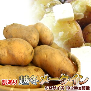 じゃがいも 20kg」の人気商品一覧・価格比較 - 価格.com