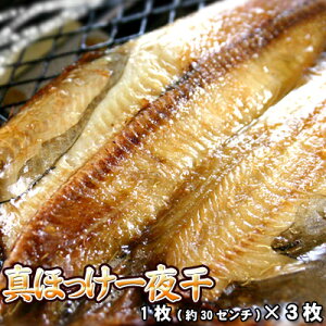 ق J kCY 銱 zbP zbPJ قJ 3  ͑ʓrZ 䒆 Lv čՂ