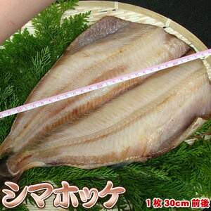 ȃzbP J 銱 zbPJ قJ V}zbP 1 Ε NX}X 