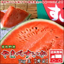 秀品 富良野産 やまべすいか 7kg前後 送料無料 ※沖縄は送料別途加算 スイカ ポイント消化 ゴルフコンペ 御中元 お中元 人気 プレゼント ランキングお取り寄せ