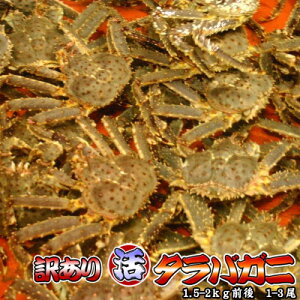 Dg09aezzsyjtfm