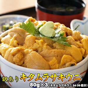 うに 塩水ウニ 塩水うに 訳あり ムラサキウニ 80g×3 送料無料 ※沖縄は送料別途加算 御中元 キャンプ 夏祭り