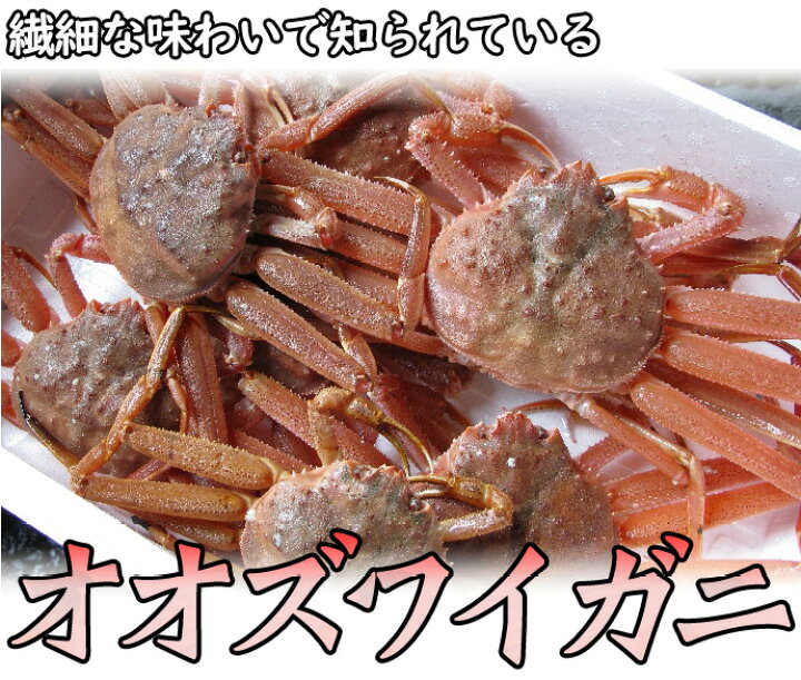 楽天市場】訳あり 活オオズワイガニ 小サイズ 8kg詰 身入り7割前後  