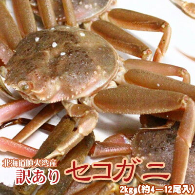楽天市場 セコガニ 訳あり 2kg 訳4 12尾入 活 北海道産 香箱ガニ せいこ蟹 せいこがに 身入り7分前後 送料無料 沖縄 送料別途加算 ミツハシグルメ北海道