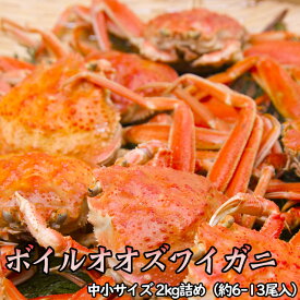 訳ありボイルオオズワイガニ姿 中小サイズ 2kg詰（約6-13尾入） 送料無料 ※沖縄送料無料加算 歳暮 クリスマス 正月