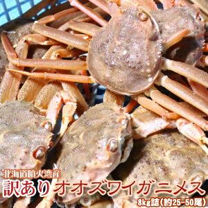 IIYCKj X  󂠂 kCY 8kgi25|50j g7O  ꑗʓrZ 䒆 Lv čՂ