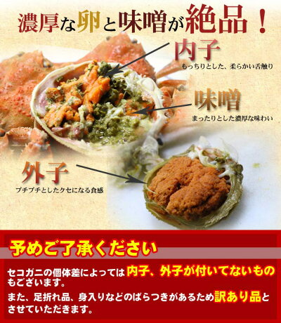 楽天市場 セコガニ 訳あり 2kg 訳4 12尾入 活 北海道産 香箱ガニ せいこ蟹 せいこがに 身入り7分前後 送料無料 沖縄送料別途加算 ミツハシグルメ北海道