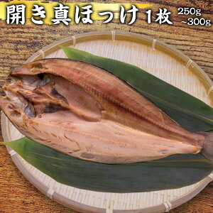 J ^zbP 1 250~300g O ق VN  Mtg 30 40 50 j  Mtg Nu wV[ ̓ ̓ VN Nx Ε  